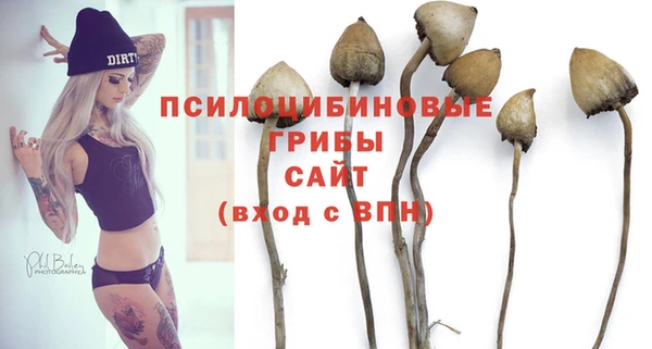 гидропоника Белокуриха