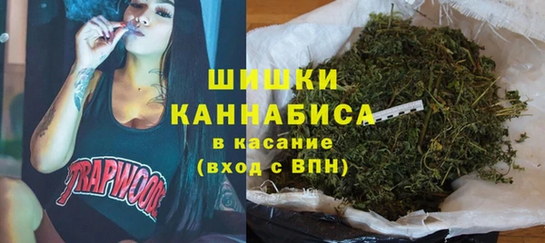 ГАЛЛЮЦИНОГЕННЫЕ ГРИБЫ Белоозёрский