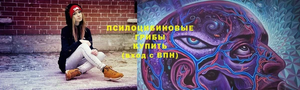 ГАЛЛЮЦИНОГЕННЫЕ ГРИБЫ Белоозёрский