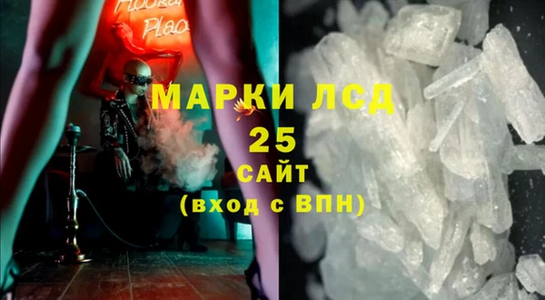 прущие грибы Рославль