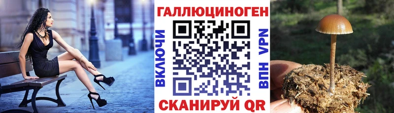 Галлюциногенные грибы Psilocybine cubensis  где можно купить   Онега 