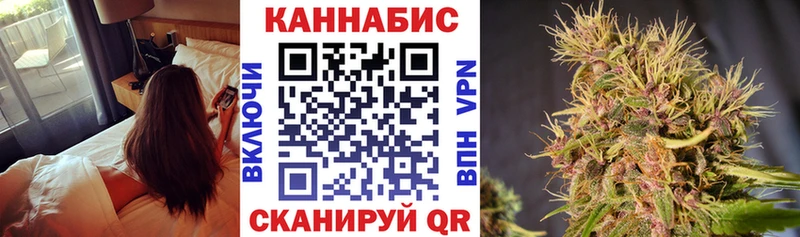 купить закладку  Онега  Марихуана планчик 